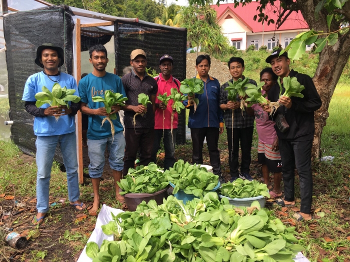 Mahasiswa KKN UNIMUDA Sorong Bantu Masyarakat Kuadas Tingkatkan Kemandirian Pangan Melalui Hidroponik